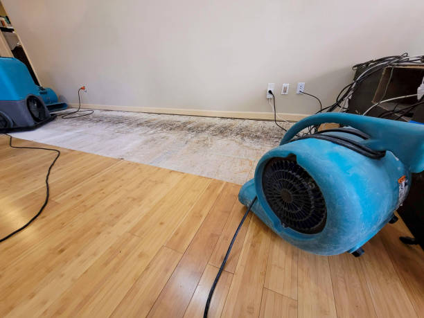 Professional Basement Flood Cleanup technician working in Saint Cloud, WI